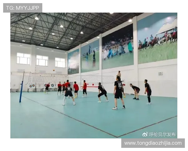 武汉排球队领跑排球意识排行榜彰显团队协作与战术智慧