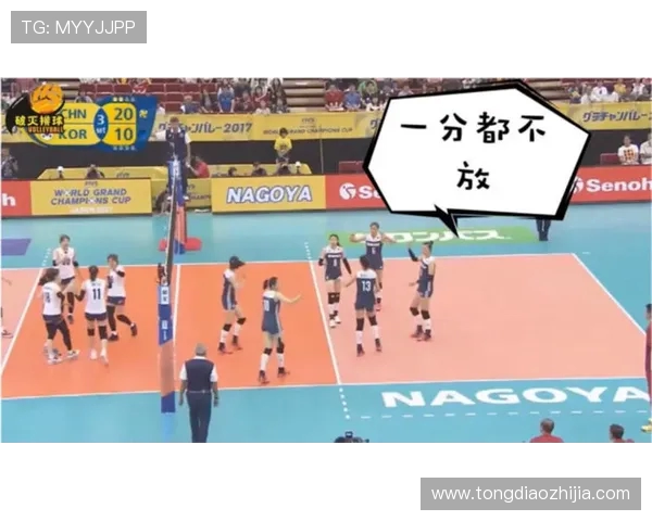 西安排球队战术变革引发热议排球界新风潮与挑战